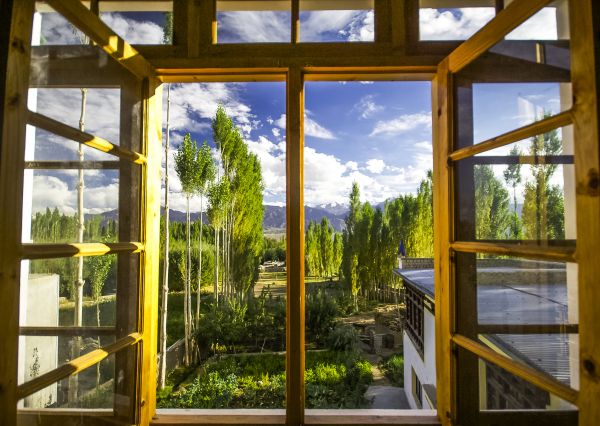 Cost of Wood Window Replacement in Arvada